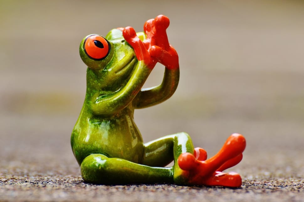 Funny, Cute, Do Not Speak, Figure, Frog, vegetable, food and drink preview