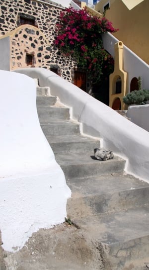 white and gray staircase thumbnail