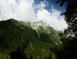 tall mountain surrounded by trees thumbnail