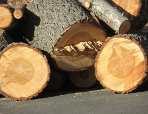 wood logs thumbnail