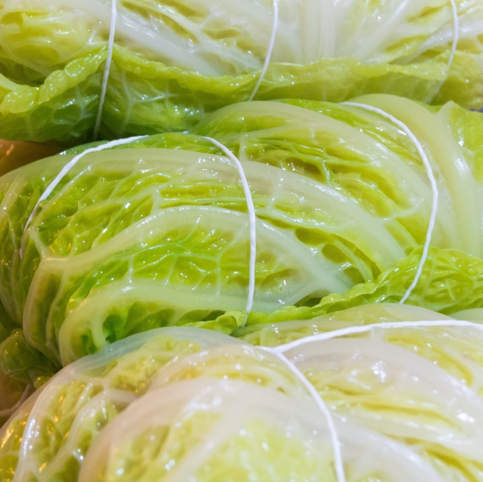 green cabbage roles preview