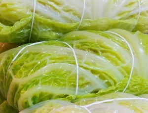 green cabbage roles thumbnail