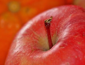 close up photography of red apple thumbnail