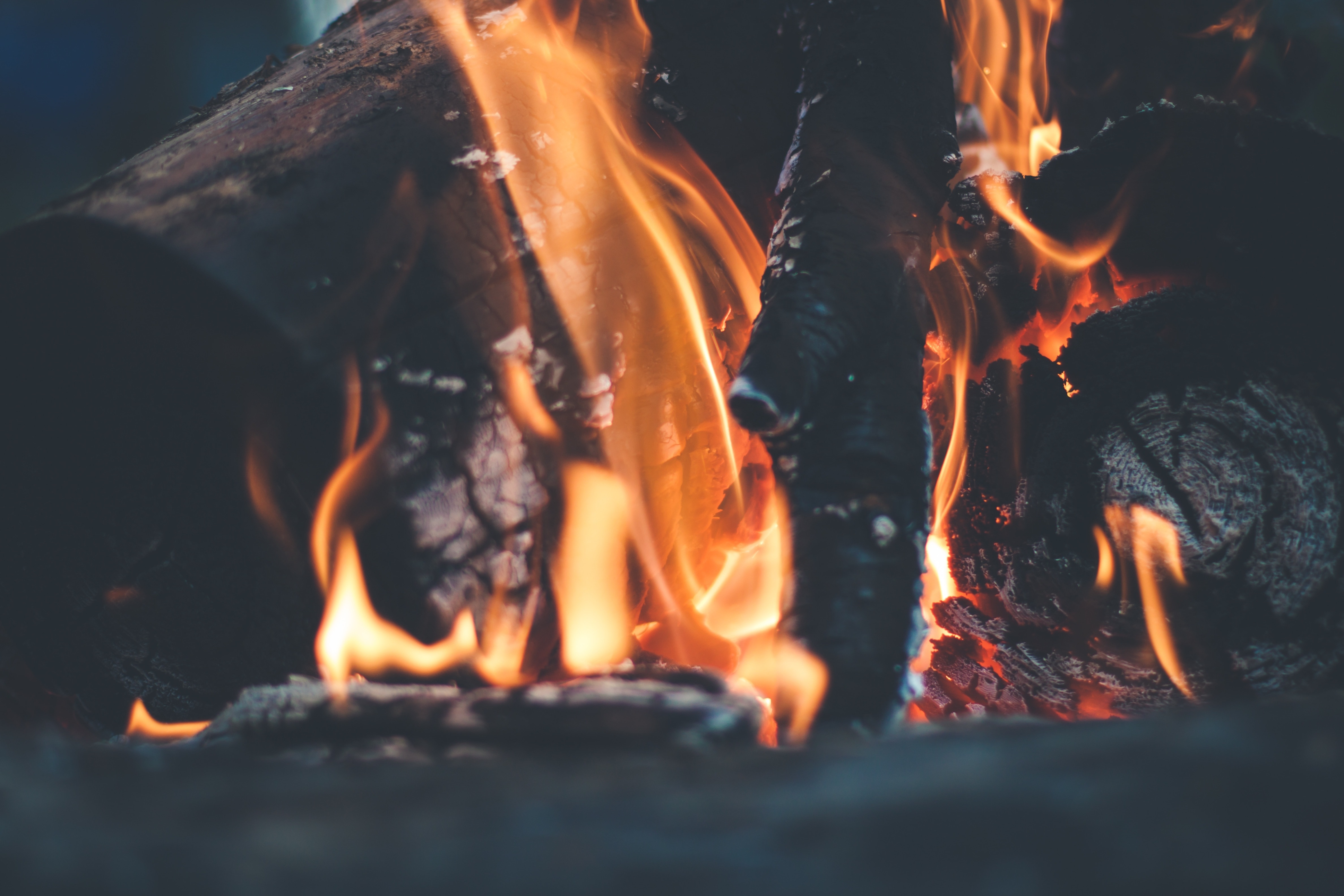 closeup photo of fire wood