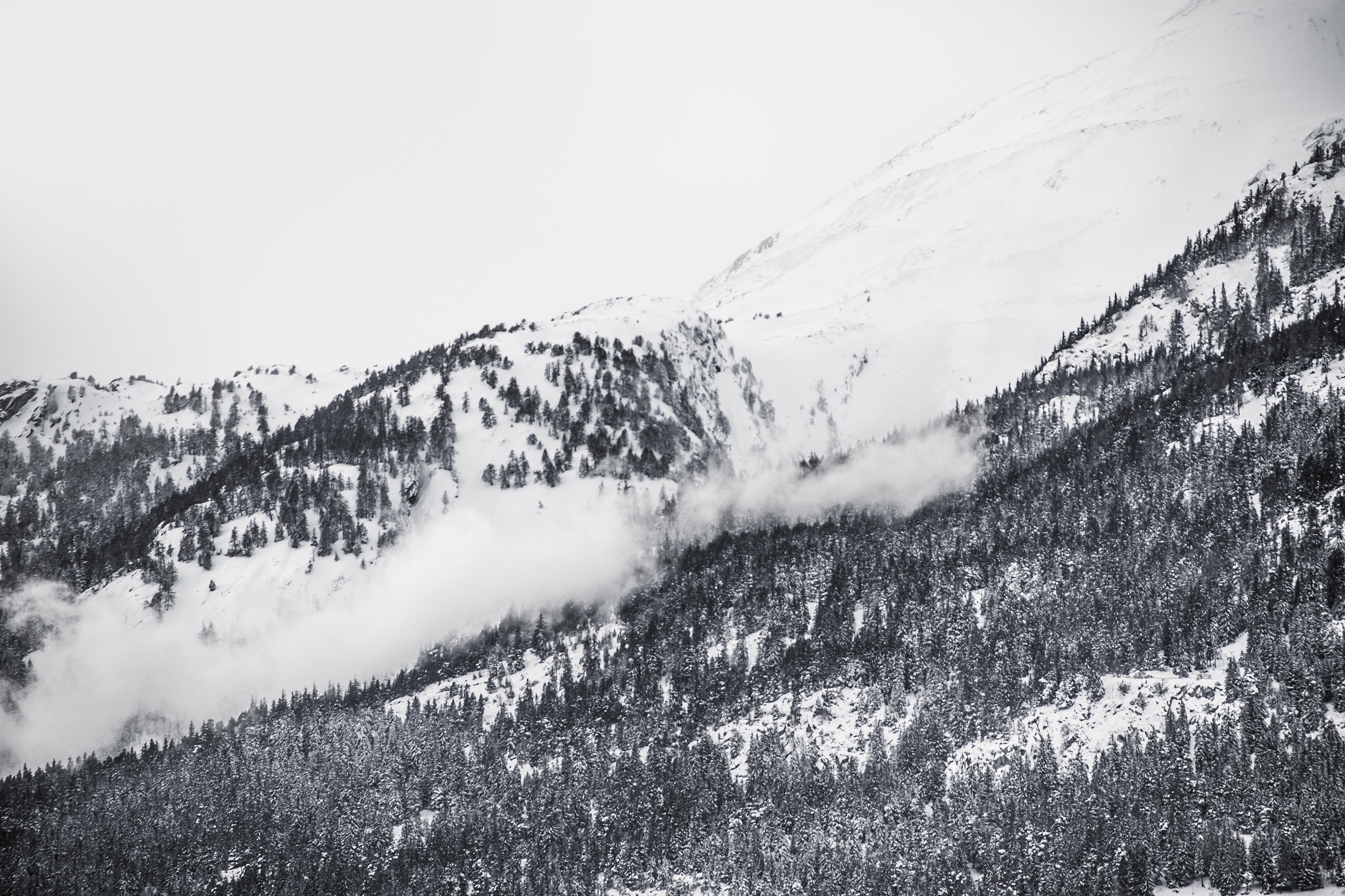 gray and white mountain