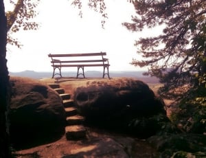 brown wooden bench on top of brown cliff under tree thumbnail
