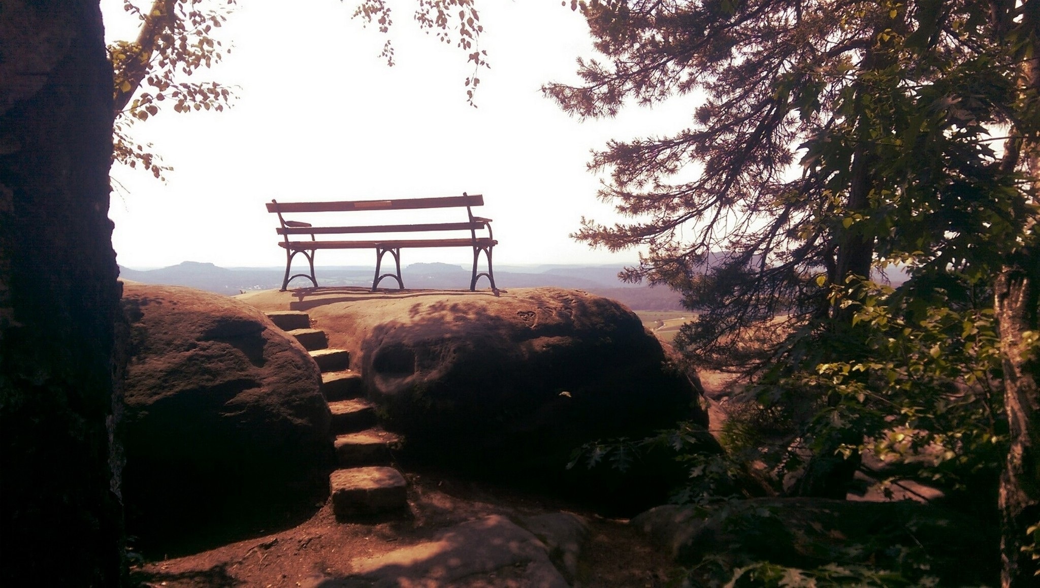 brown wooden bench on top of brown cliff under tree