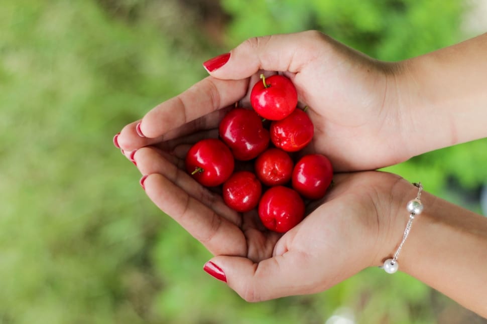 person holding cherry on palm preview