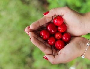 person holding cherry on palm thumbnail