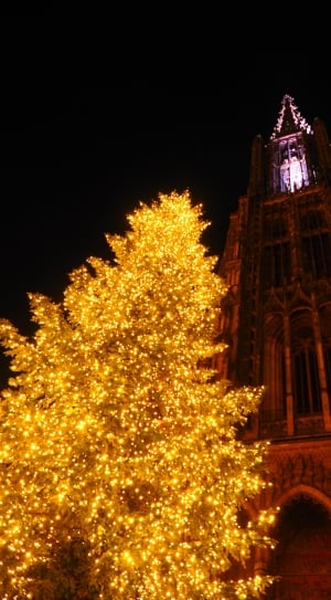 christmas tree with yellow lights thumbnail