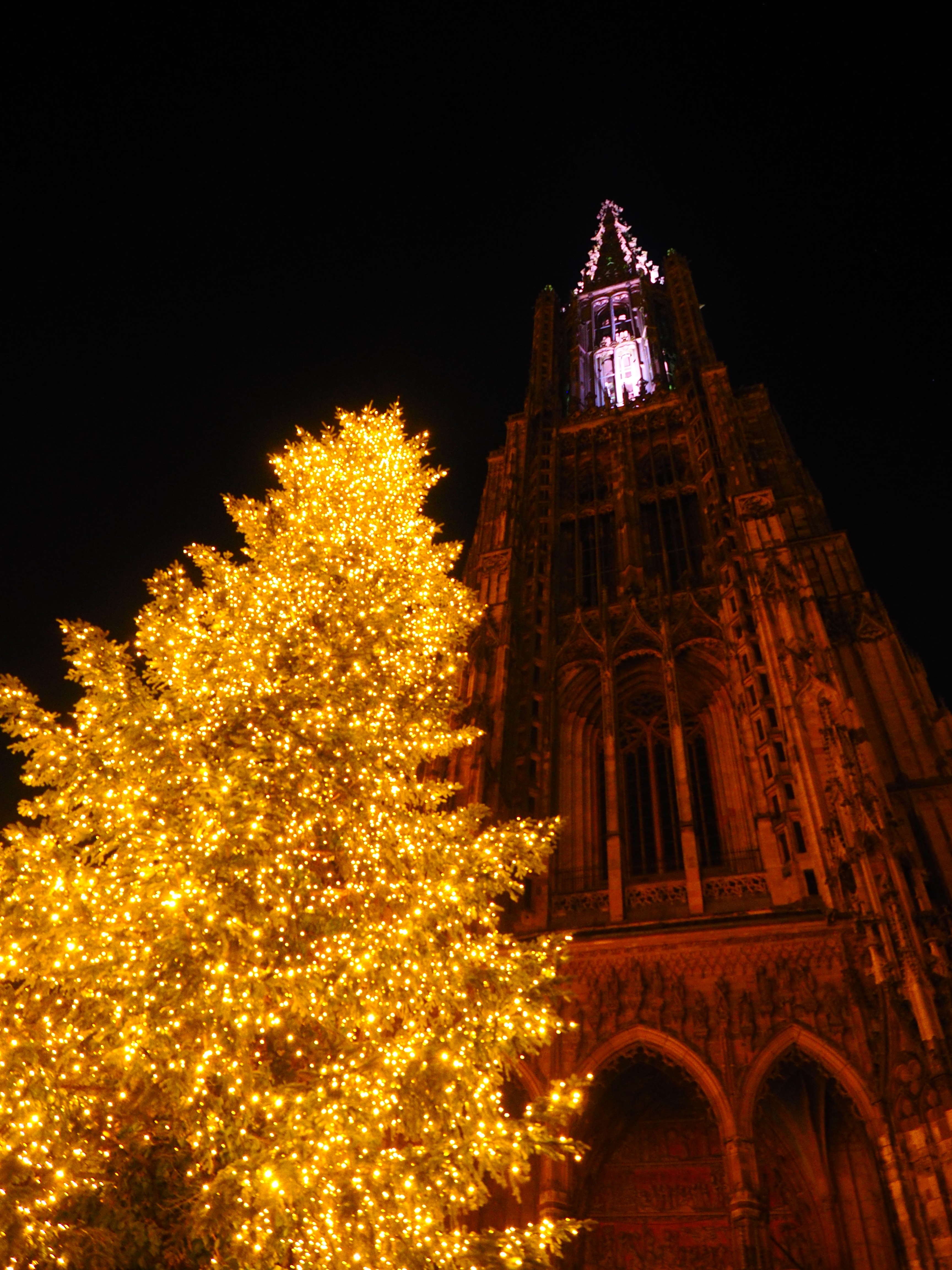christmas tree with yellow lights