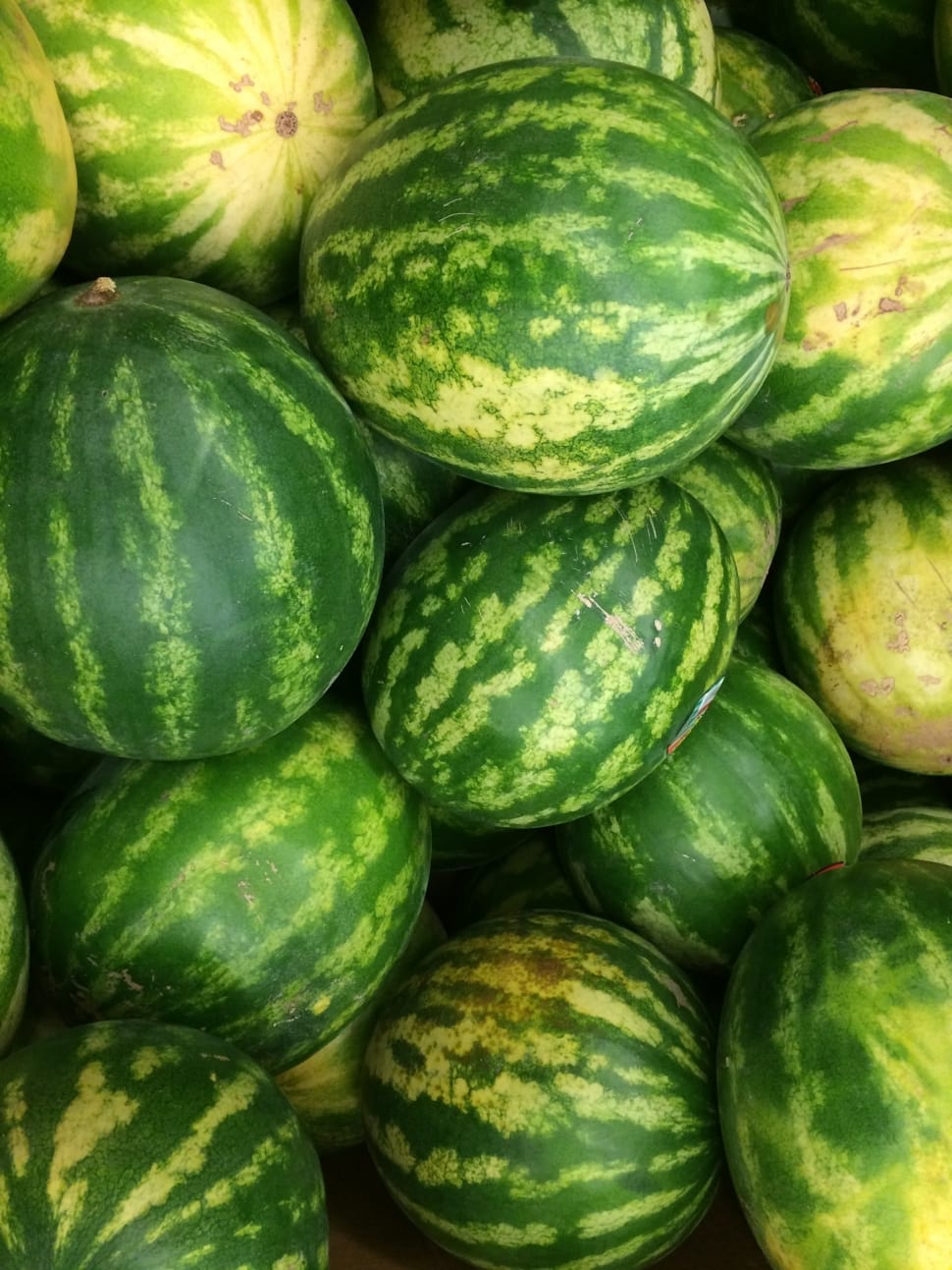 watermelon fruits preview