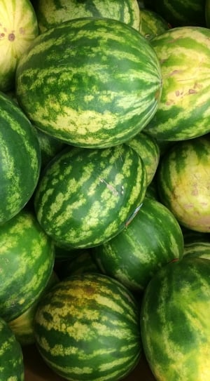 watermelon fruits thumbnail