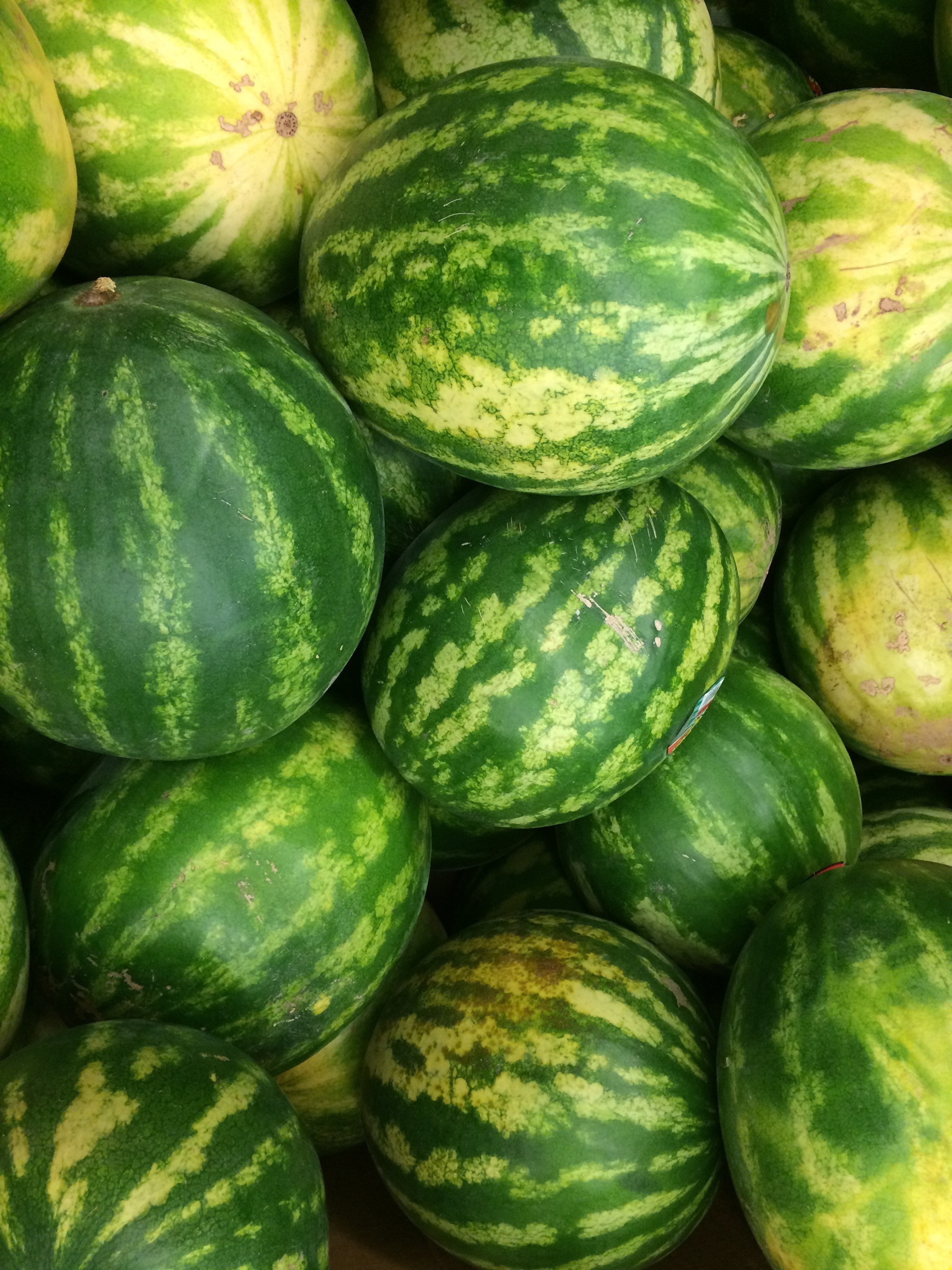 watermelon fruits
