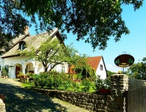 Reed-Roofed House, Balaton, Tihany, tree, built structure thumbnail