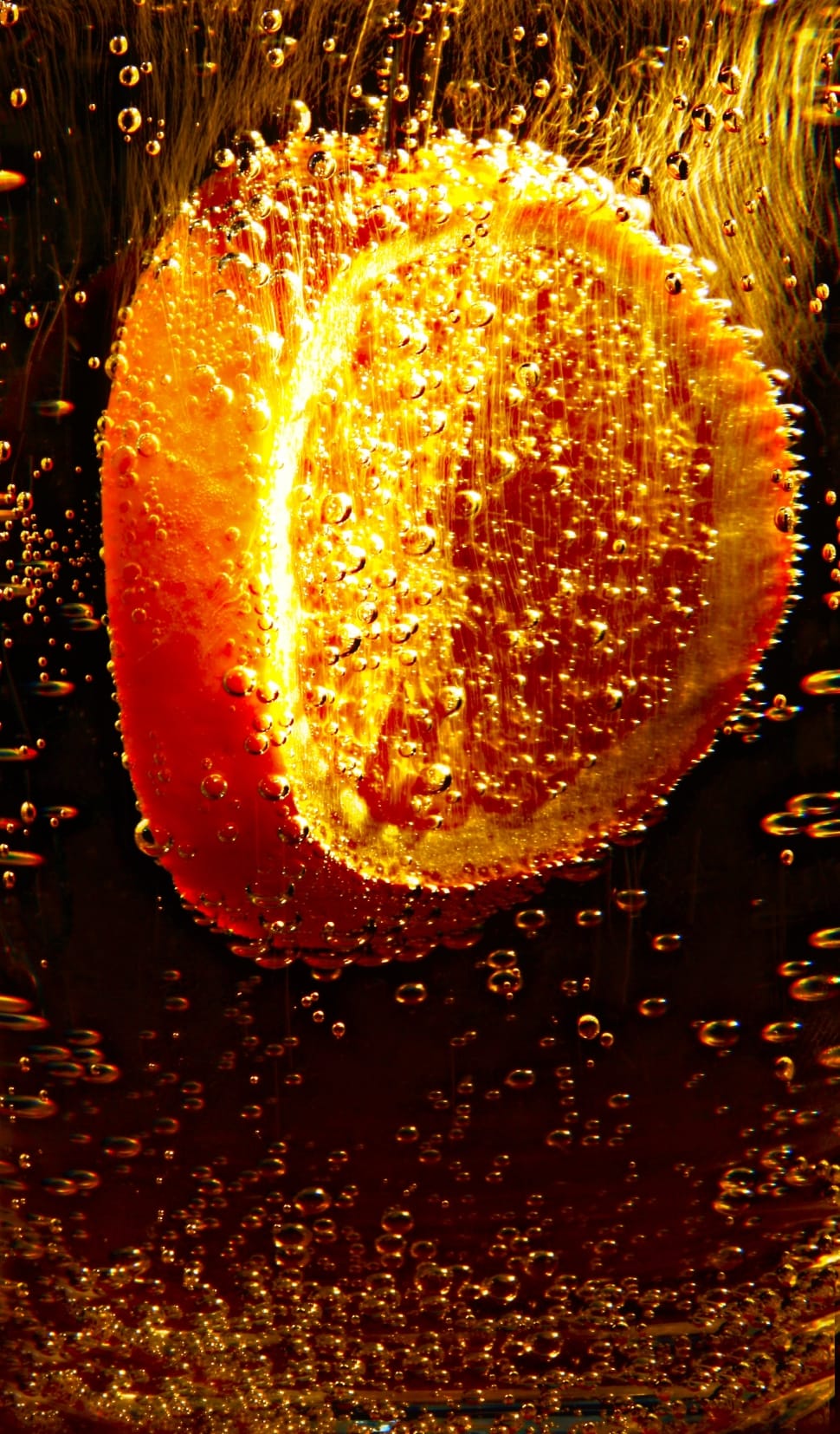 orange slice preview