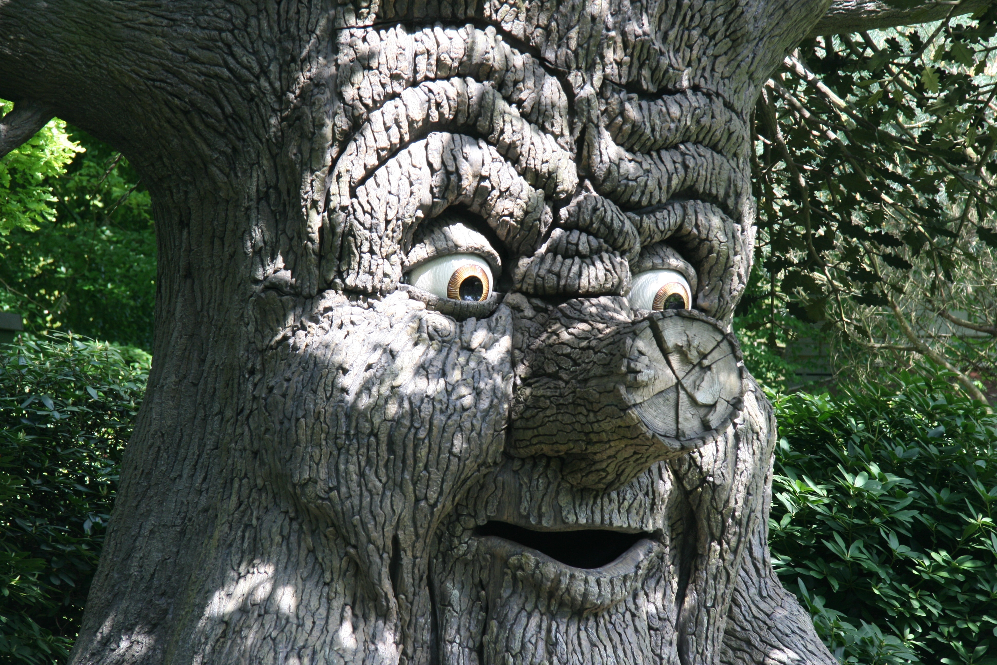 animated trees with faces