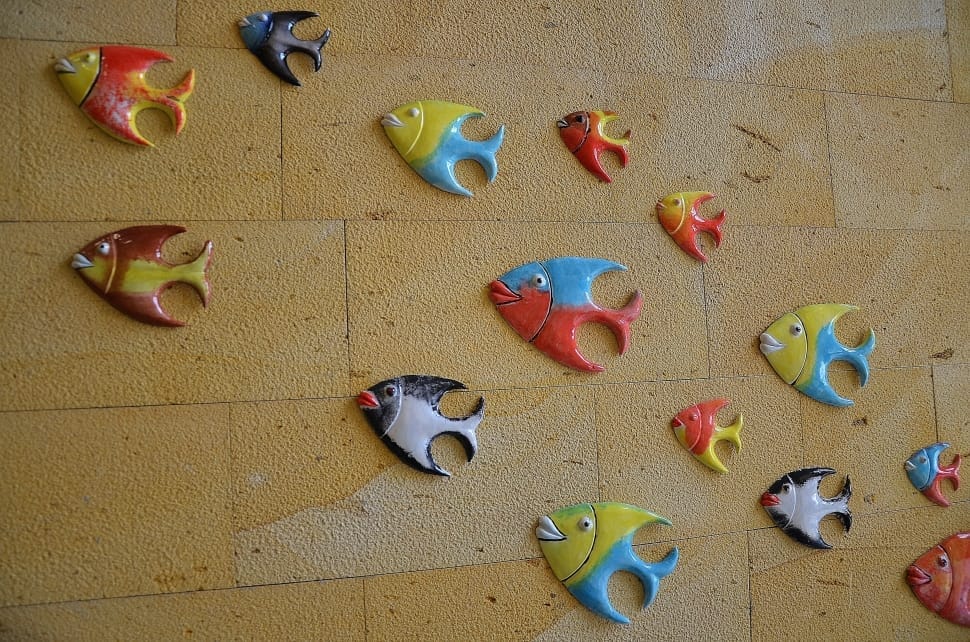 yellow blue and red angel fish decor preview