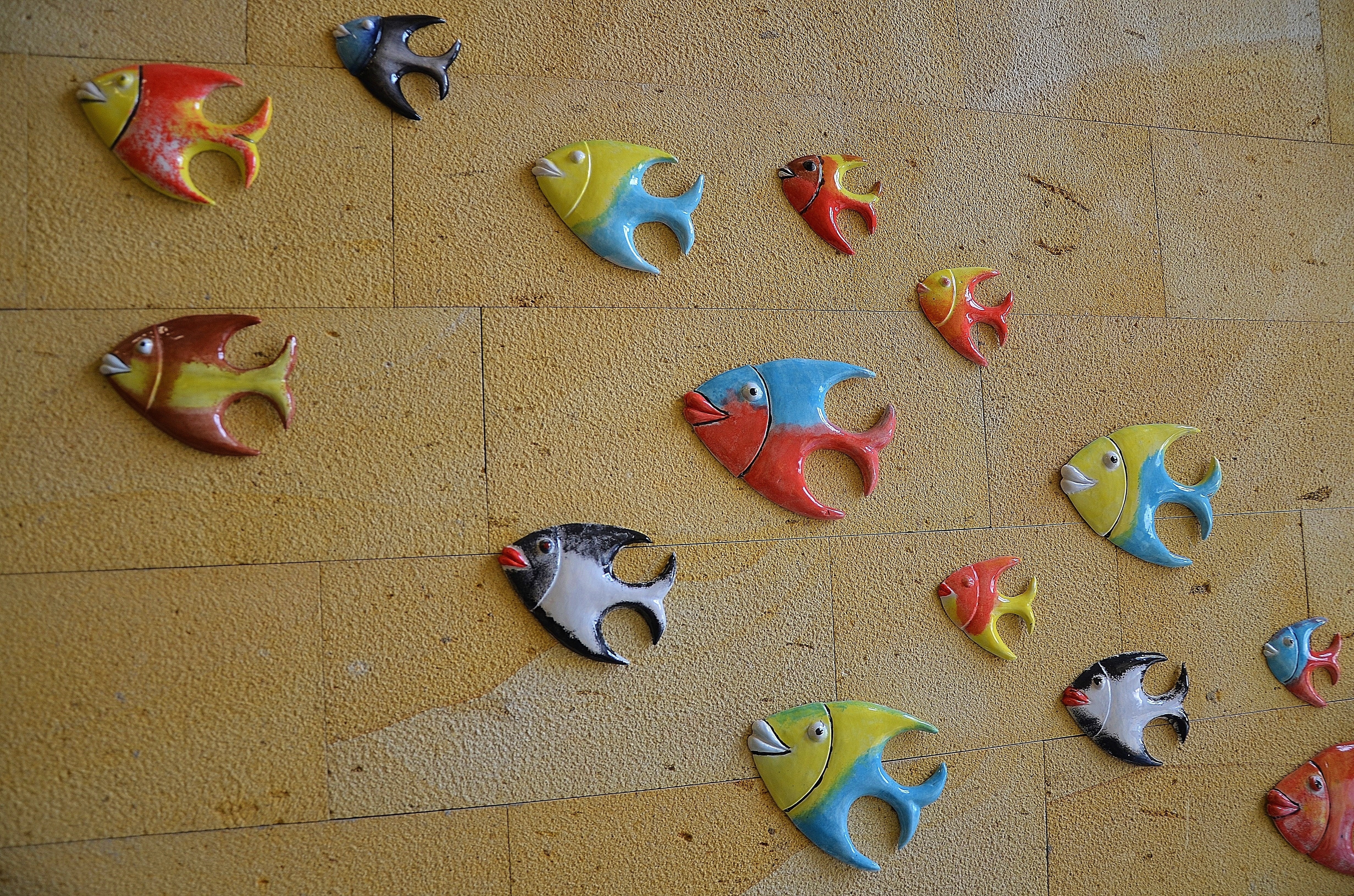 yellow blue and red angel fish decor