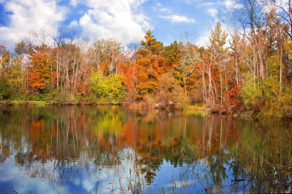 Season, Fall, Autumn, reflection, autumn preview