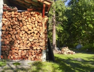 Winter Wood, Cutted, Wood, Stack, timber, log thumbnail
