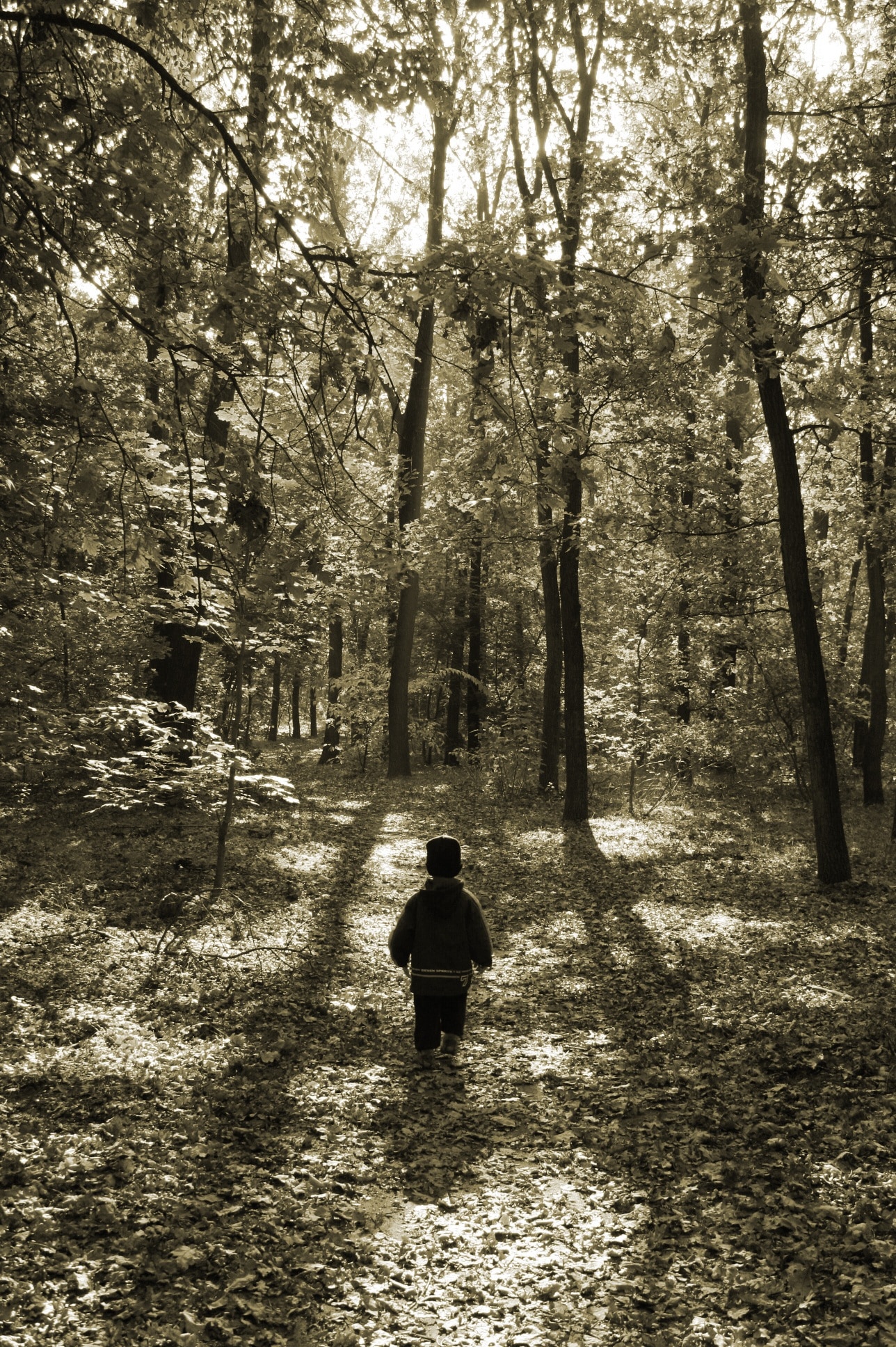 sepia photo of a boy at the woods