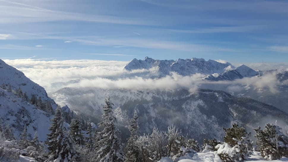 glacier mountain range with pine tress preview