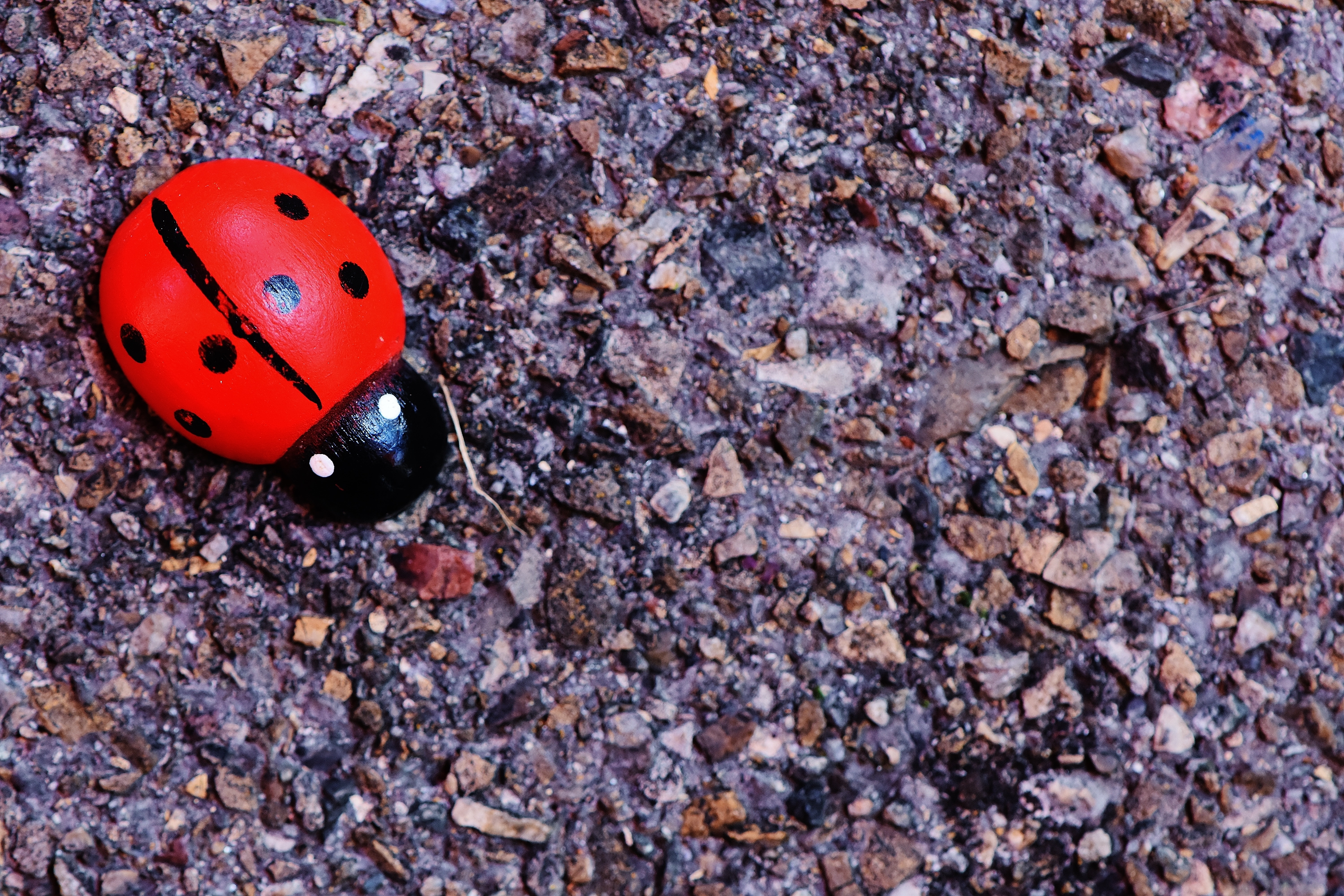 red and black lady bug toy