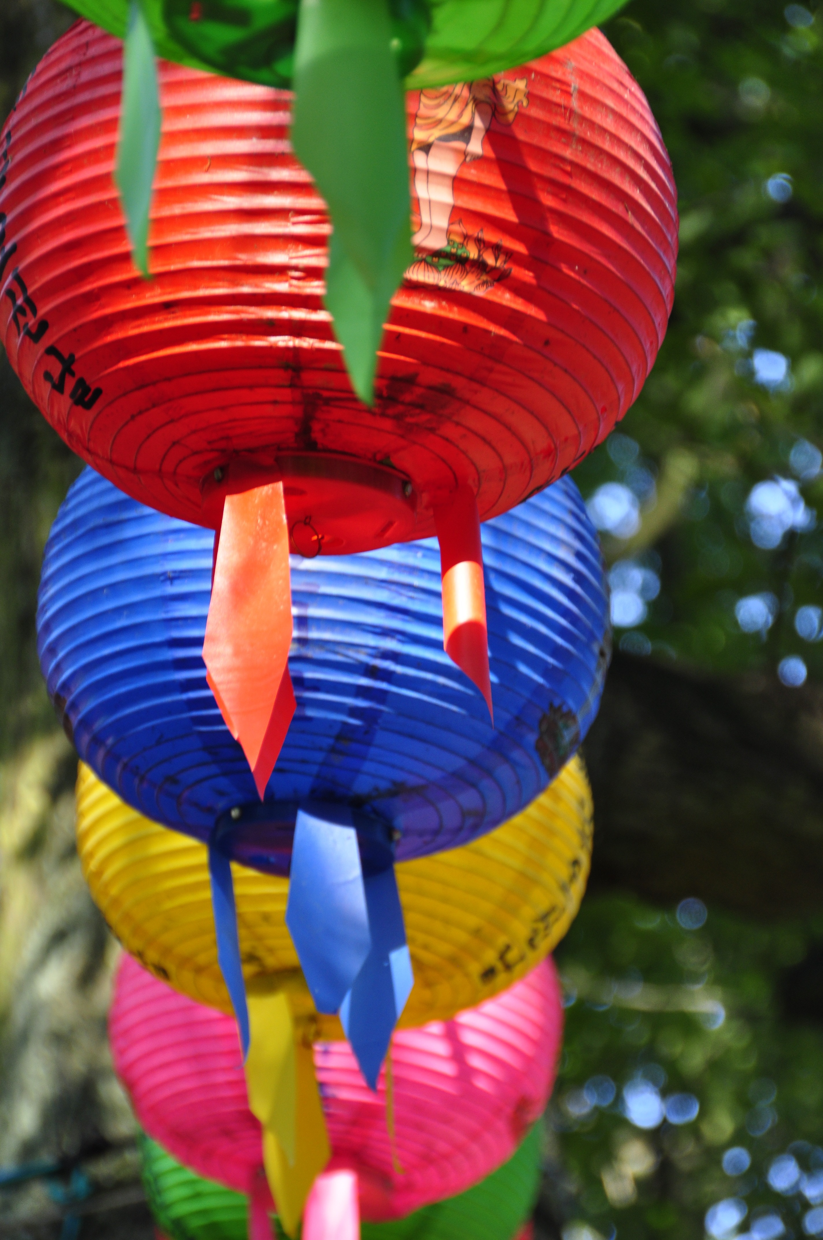 Colorful, Red, Lampion, Yellow, Blue, outdoors, day