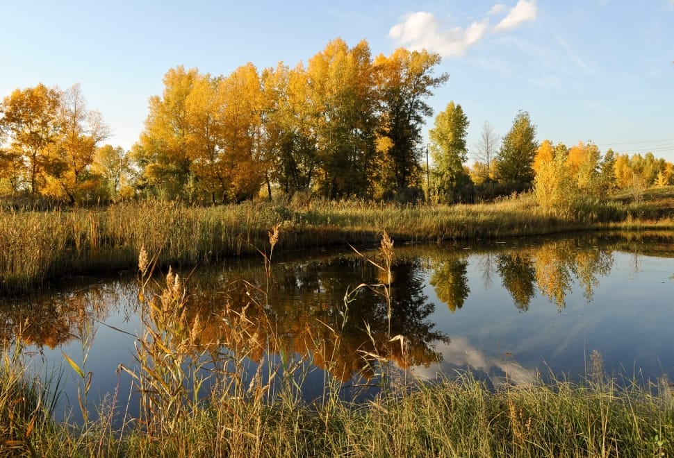 River, Calm, Landscape, Quiet, Autumn, reflection, lake preview
