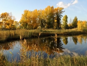 River, Calm, Landscape, Quiet, Autumn, reflection, lake thumbnail