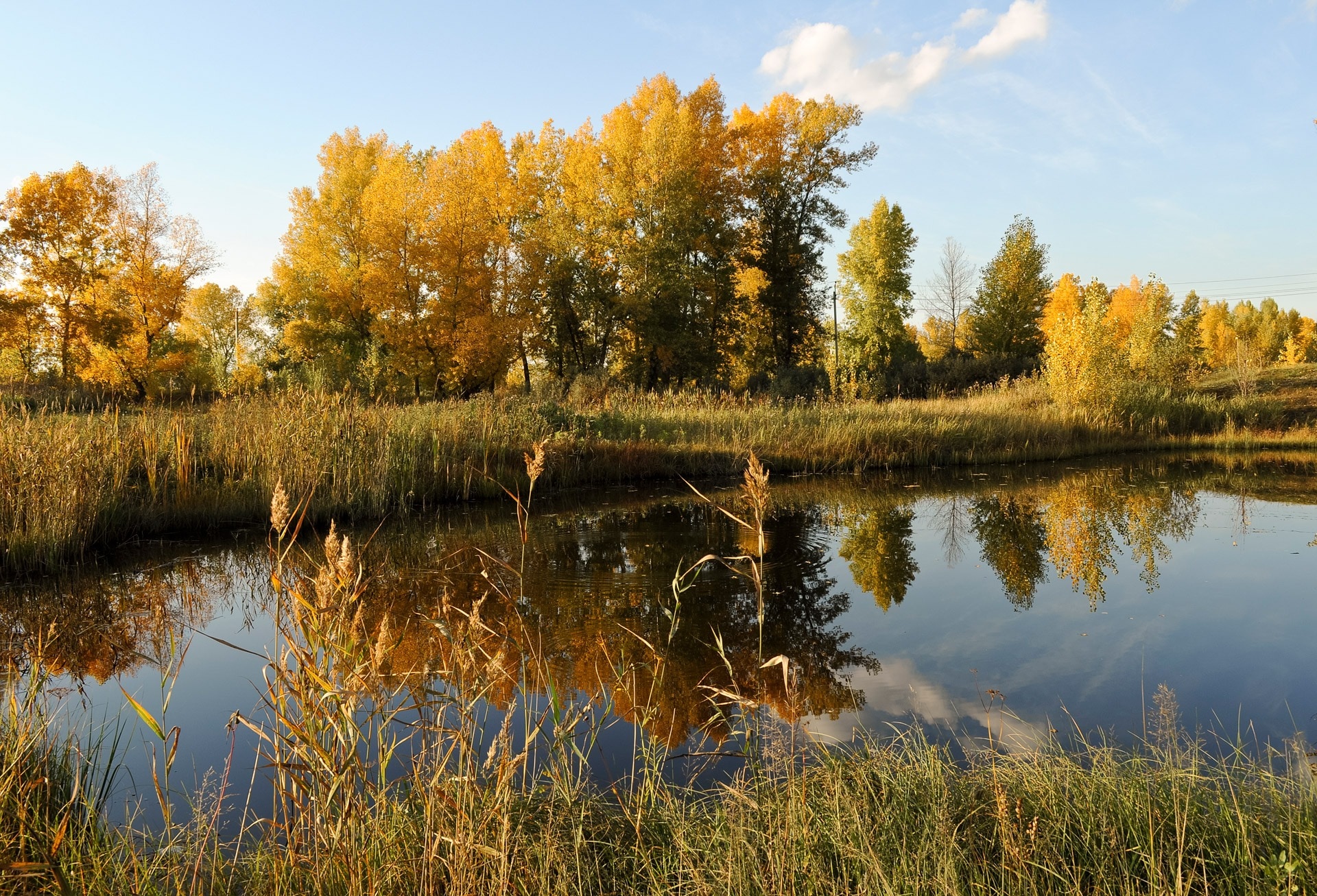 River, Calm, Landscape, Quiet, Autumn, reflection, lake