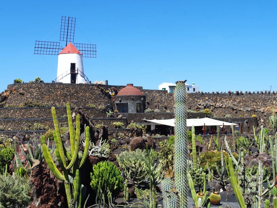 Lanzarote, Cactus Garden, Walls, Mill, building exterior, architecture preview