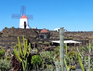 Lanzarote, Cactus Garden, Walls, Mill, building exterior, architecture thumbnail