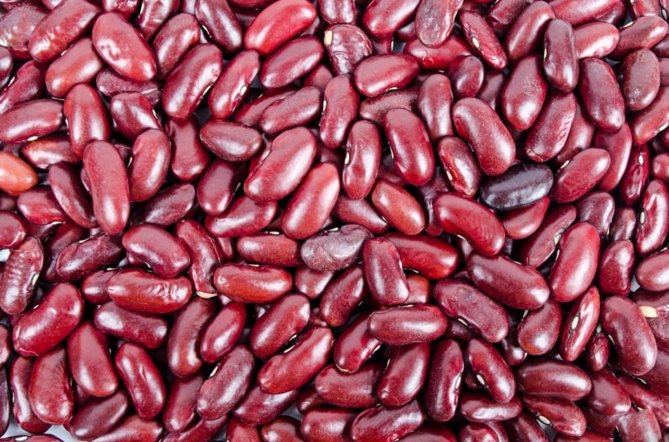 red beans preview