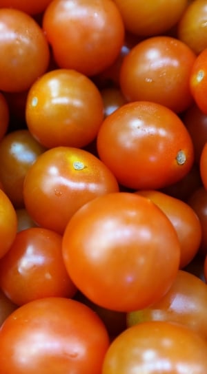 oranges and red tomatoes thumbnail