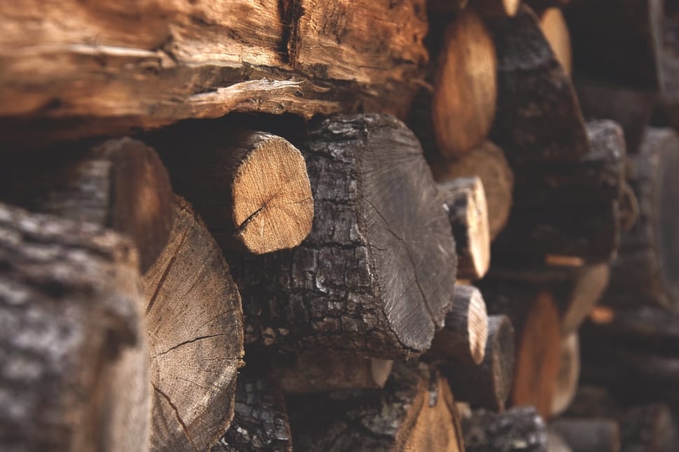 shallow focus photography of brown fire wood preview