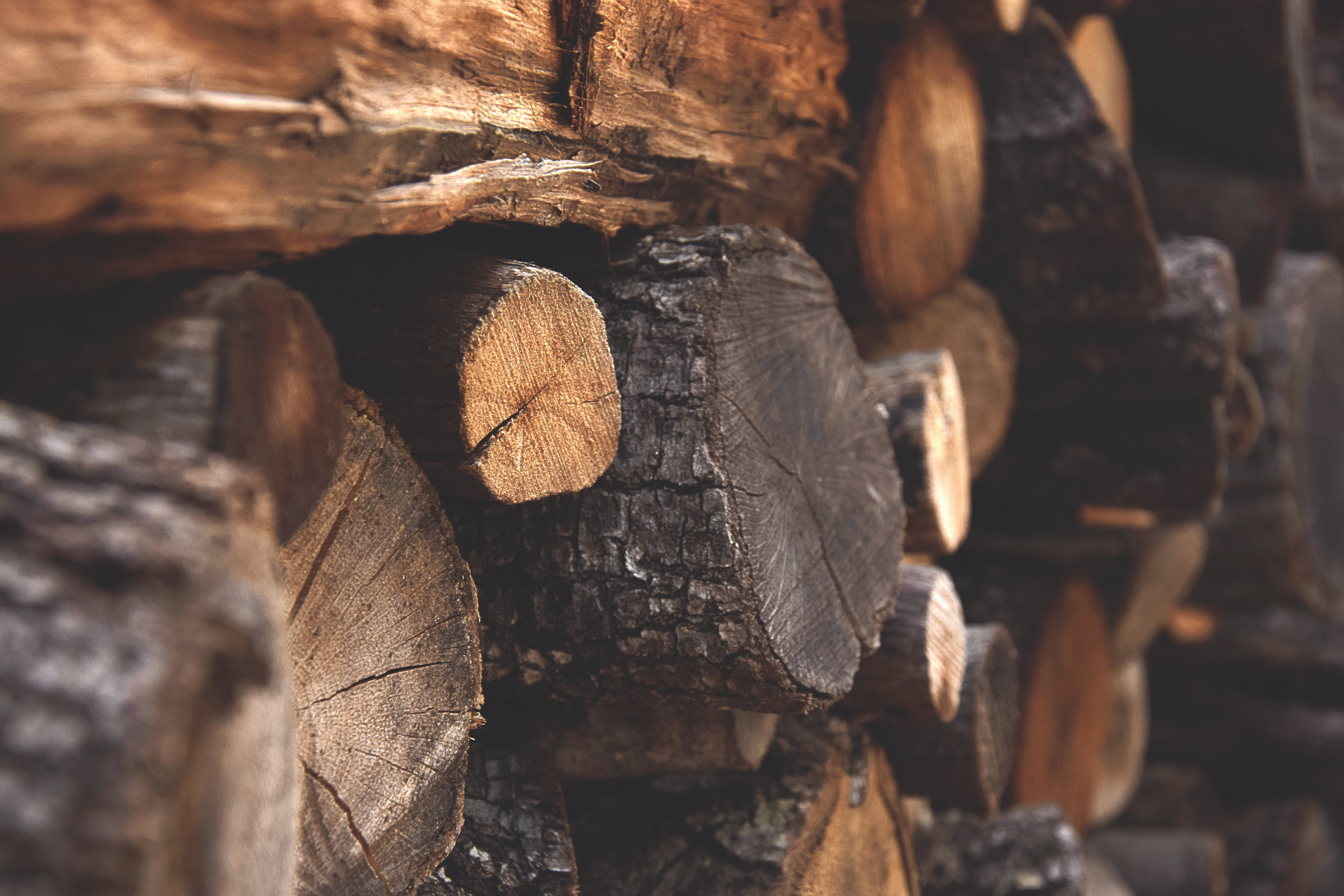 shallow focus photography of brown fire wood