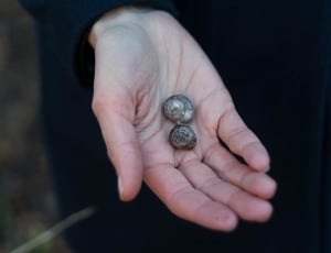 right human hand holding two snails thumbnail
