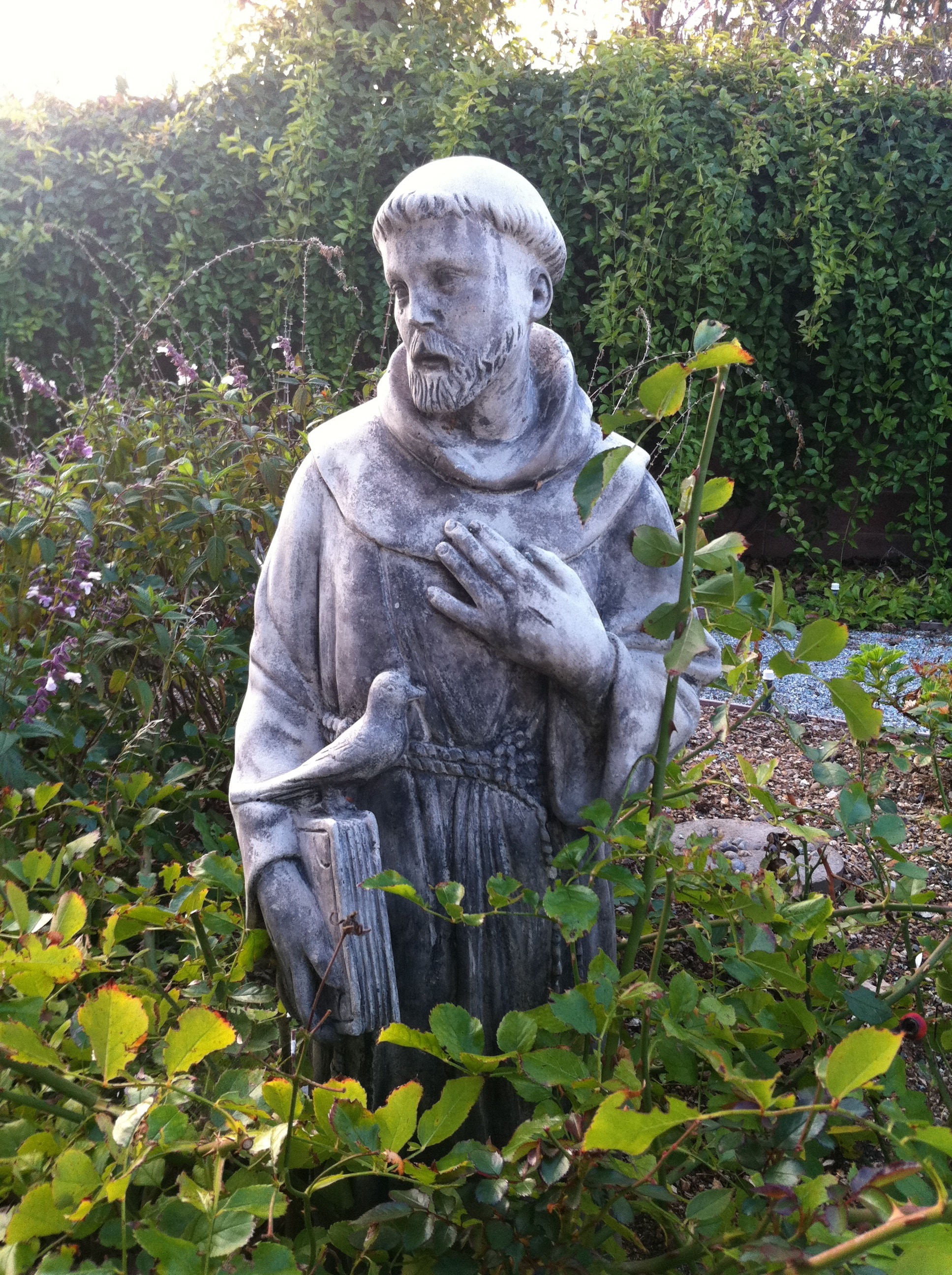 Garden, St Francis, Statue, Saints, outdoors, day