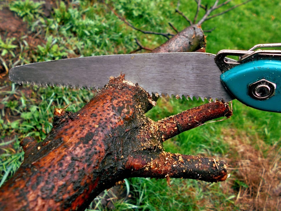 teal handle wood saw preview