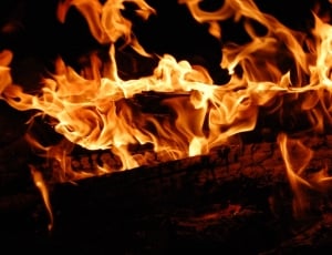 close-up photo of burning wood thumbnail