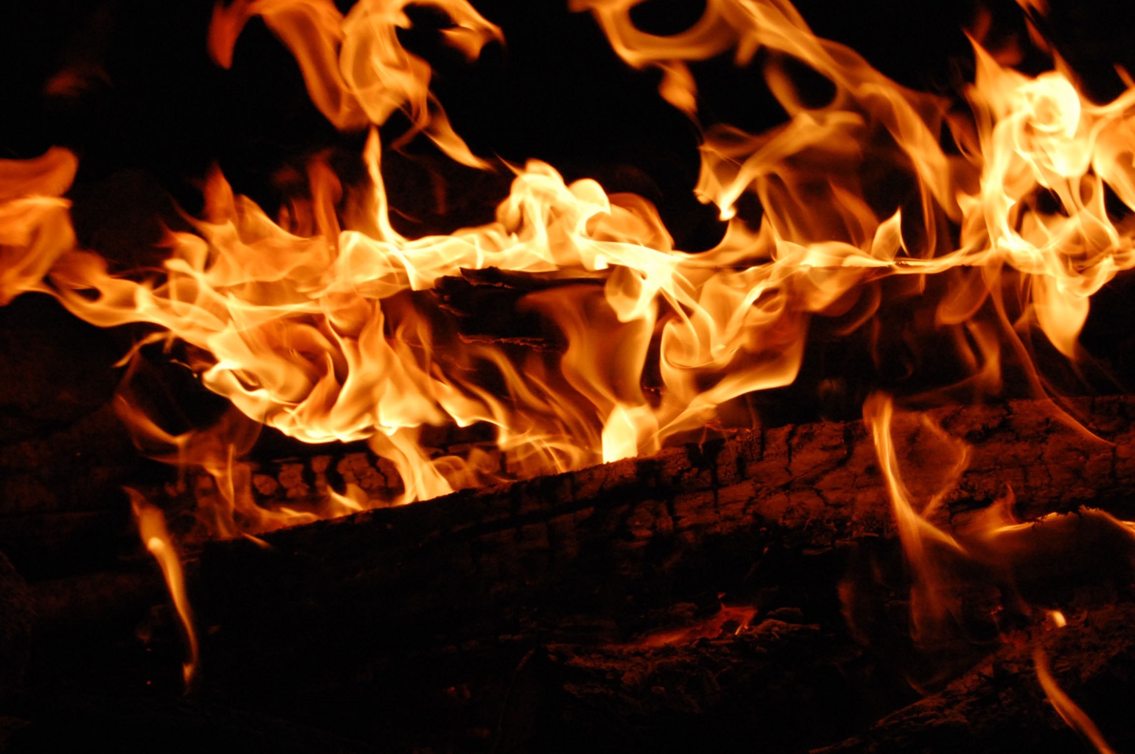 close-up photo of burning wood