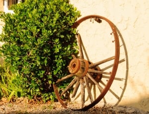 brown and beige carriage wheel thumbnail