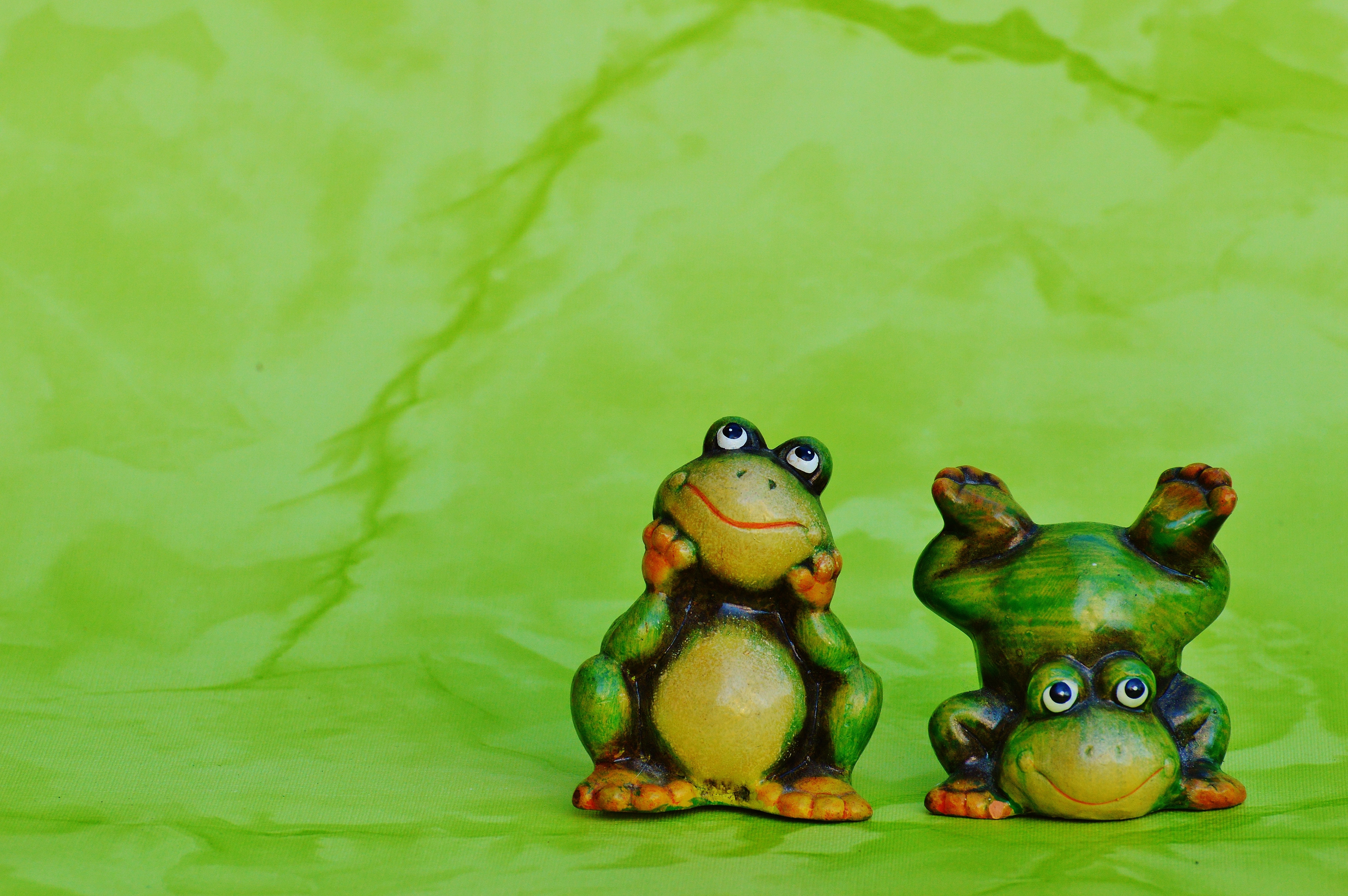 2 yellow and green frogs painting
