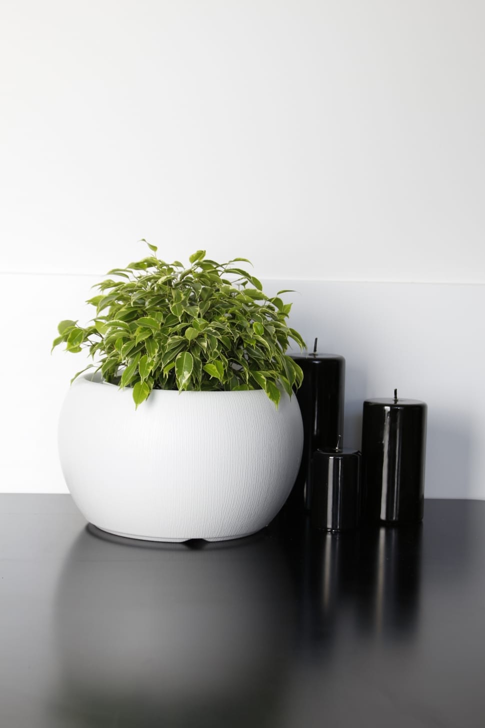 round white ceramic vase with green plant beside black pillar candles preview