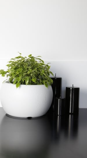 round white ceramic vase with green plant beside black pillar candles thumbnail