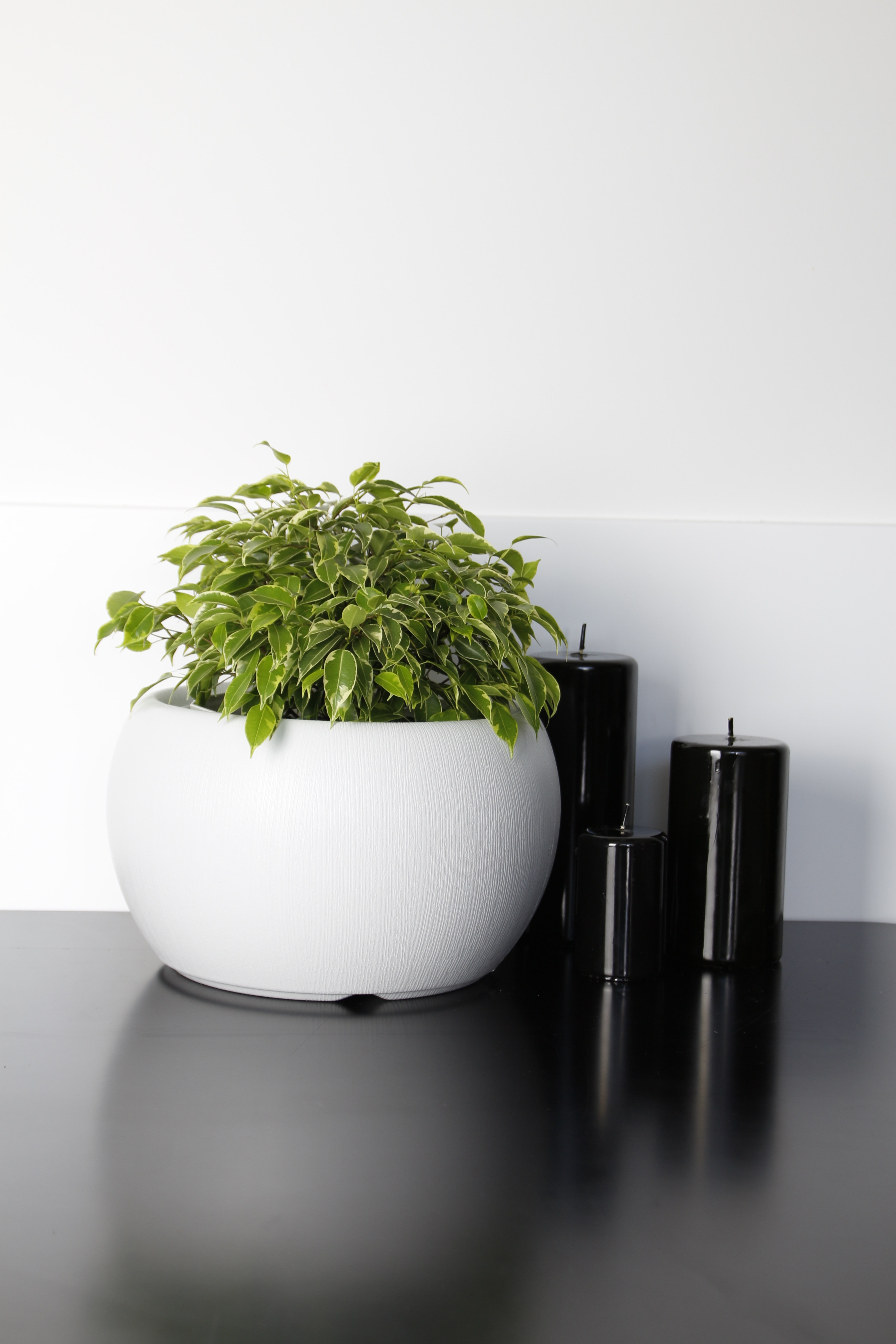 round white ceramic vase with green plant beside black pillar candles