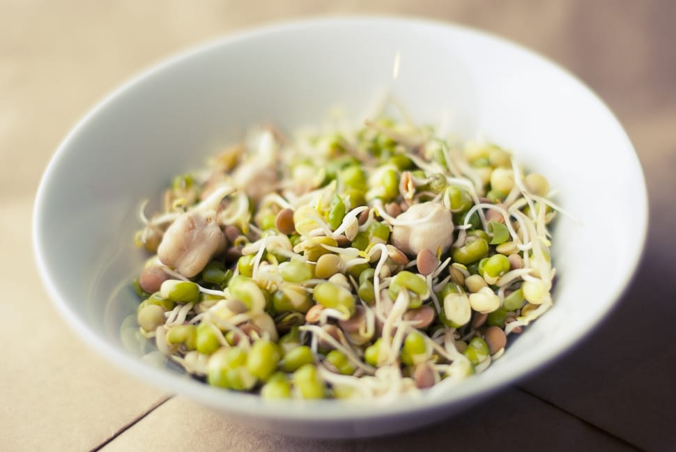 beans sprout in ceramic bowl preview