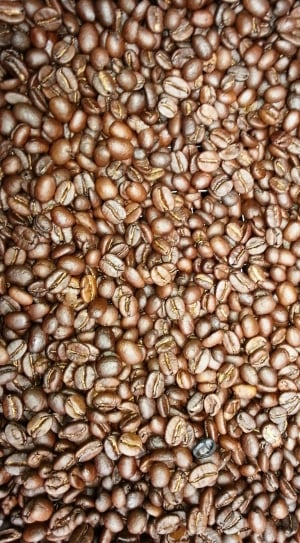 Coffee Beans, Fresh Coffee, Tanzania, food and drink, roasted coffee bean thumbnail